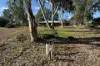 8 Ninth Road, York, WA 6302-Image