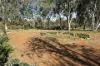 8 Ninth Road, York, WA 6302-Image