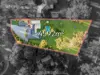 8 Norwood Court, Yatala, Qld 4207-Image