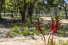 8 Nova Rise, Lower Chittering, WA 6084-Image