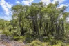 8 Nova Rise, Lower Chittering, WA 6084-Image