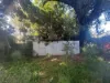 8 Nugent Street, Macleay Island, Qld 4184-Image