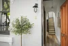 8 Olive Street, Paddington, NSW 2021-Image