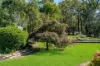8 Orient Street, Willow Vale, NSW 2575-Image