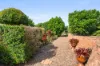 8 Osprey Drive, Craignish, Qld 4655-Image