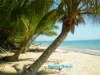 8 Pacific View Drive, Wongaling Beach, Qld 4852-Image