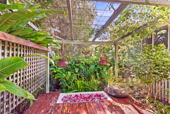 8 Palmwoods School Road, Palmwoods, Qld 4555-Image
