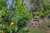8 Palmwoods School Road, Palmwoods, Qld 4555-Image