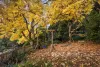 8 Paradise Grove, Emerald, Vic 3782-Image