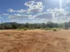 8 Parish Avenue, Gunnedah, NSW 2380-Image