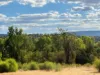 8 Parish Avenue, Gunnedah, NSW 2380-Image