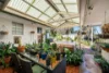 8 Patricia Street, Coromandel Valley SA 5051-Image