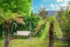 8 Patricia Street, Millgrove, Vic 3799-Image