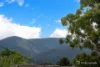 8 Patricia Street, Millgrove, Vic 3799-Image