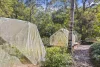 8 Payne Street, Eumundi, Qld 4562-Image