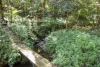 8 Payne Street, Eumundi, Qld 4562-Image