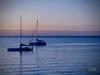 8 Pebble Court, Torquay, Qld 4655-Image