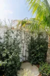 8 Phillip Street, Shelly Beach, NSW 2261-Image