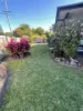 8 Phillips Street, Ayr, Qld 4807-Image
