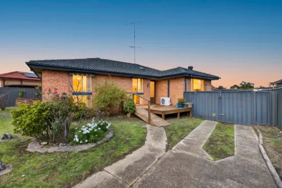 8 Pickett Avenue, Minto, NSW 2566