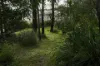 8 Pier Place, Bundabah, NSW 2324-Image