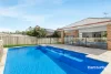8 Pinnacle Close, Bolwarra Heights, NSW 2320-Image
