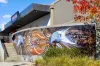 8 Potts Place, Farrer, ACT 2607-Image