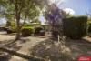 8 Queen Avenue, Nuriootpa, SA 5355-Image