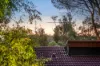 8 Rabone Way, Boya, WA 6056-Image