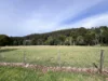 8 Red Jacket Court, Rawson, Vic 3825-Image