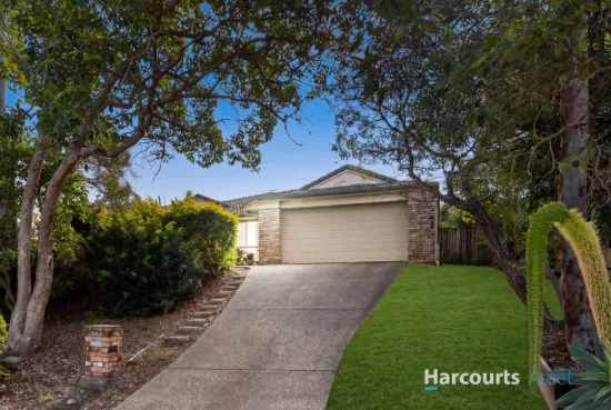 8 Reedmans Road, Ormeau, Qld 4208