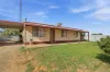 8 Reinecke Street, Morgan, SA 5320