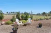 8 Ridgevale Drive, Regency Downs, Qld 4341-Image