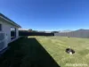 8 Rifle Range Road, Orange, NSW 2800-Image