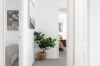 8 Royal George Drive, Harrington Park, NSW 2567-Image