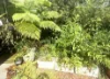 8 Ryrie Street, El Arish, Qld 4855-Image
