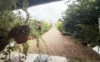 8 Ryrie Street, El Arish, Qld 4855-Image