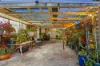 8 Sainsbury Court, Mount Clear, Vic 3350-Image