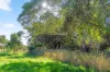 8 Saint Nicholas Avenue, Port Willunga, SA 5173-Image
