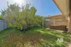 8 Salmond Turn, Wanneroo, WA 6065-Image