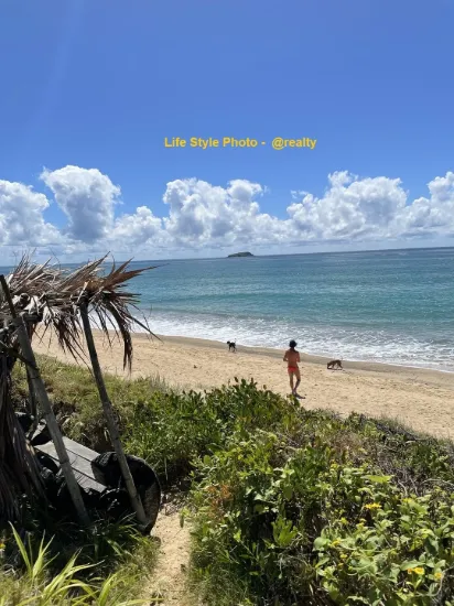 8 Sapphire Crescent, Sapphire Beach, NSW 2450