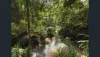 8 Sapphire Crescent, Sapphire Beach, NSW 2450-Image