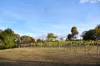 8 Saunders Court, Elphinstone, Vic 3448-Image