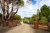 8 Saunders Court, Elphinstone, Vic 3448-Image
