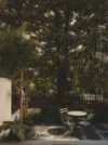 8 Scotsman Street, Forest Lodge, NSW 2037-Image