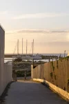 8 Seacombe Grove, Brighton, Vic 3186-Image