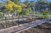 8 Seascape Rise, Yallingup, WA 6282-Image