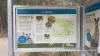 8 Seidler Avenue, Coombabah, Qld 4216-Image