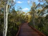8 Seidler Avenue, Coombabah, Qld 4216-Image