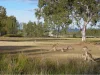 8 Seidler Avenue, Coombabah, Qld 4216-Image